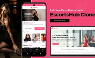 Start Your Own Escort Booking Platform Fast – Code-Free, Launch-Ready